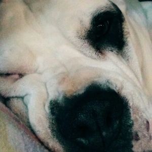 Meet your Posher, Donald j